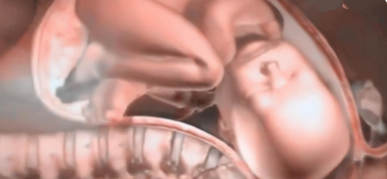 头部|为什么顺产会很痛4张图讲解原因,妈妈没有容易的