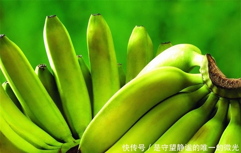 影响|婴儿可以吃香蕉吗,有何影响?