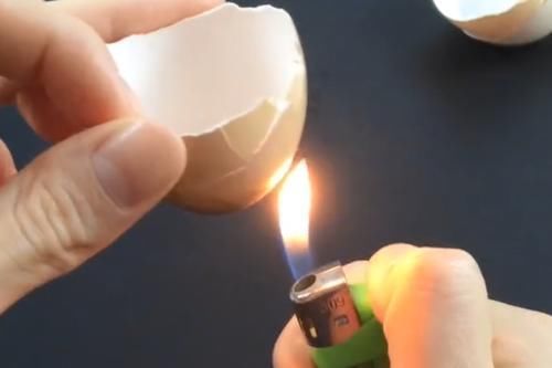 作用|鸡蛋壳用火烤一烤,作用太厉害了,解决了很多男人女人的大烦恼