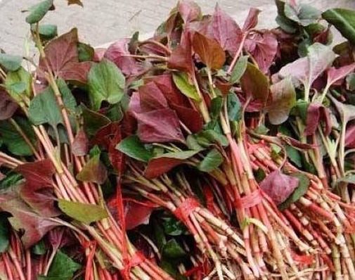 胖大海|“肺”好不好，一个动作就能知晓，如果能做到，说明保养得还不错