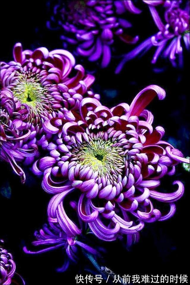 警世名言！醒悟人生的警世名言，睿智透彻，句句中肯实用