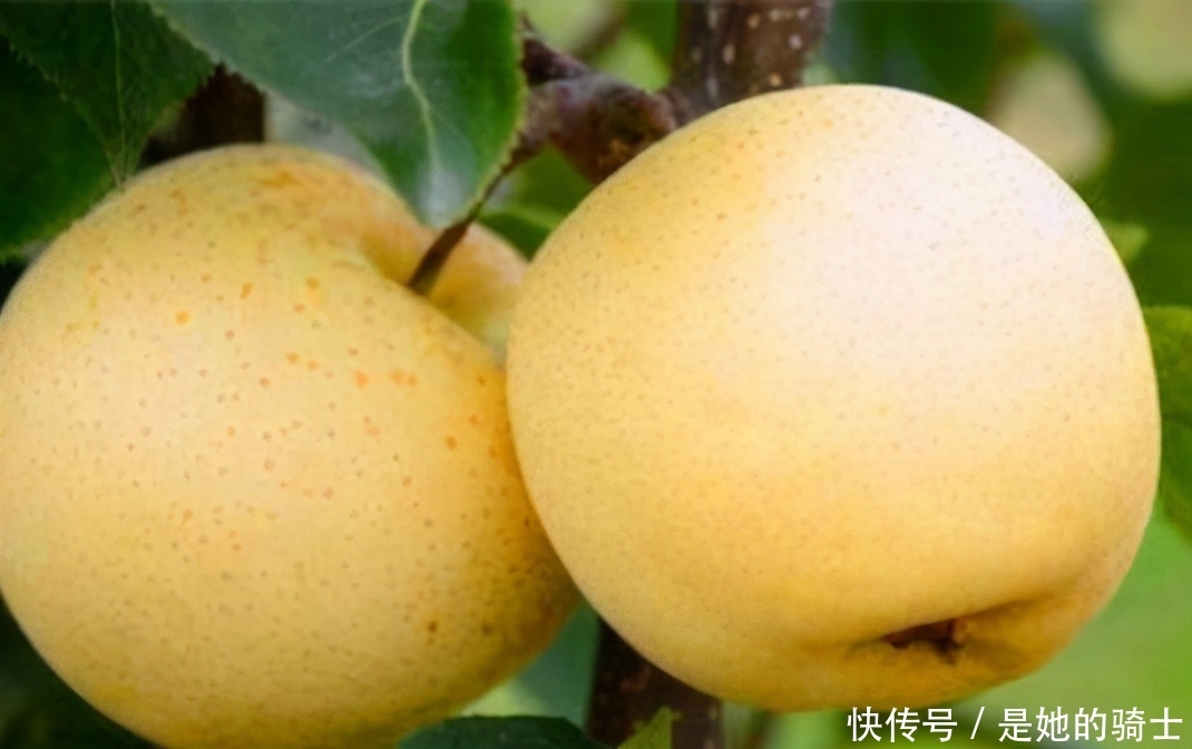 想长寿要多吃3种食物,排毒养颜、滋润身体,越吃越年轻