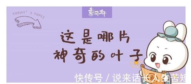 阳亢|一味桑叶补骨髓，止盗汗，清肝明目润肺止咳就看你会不会用