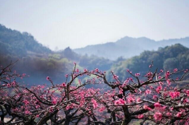 刘备#一首豪气干云的五言诗,犀利语言写尽兴亡之叹,开篇两句笔力铮铮