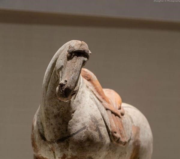 文物|“天路长歌——唐蕃古道沿线七省区精品文物联展”在川博开幕