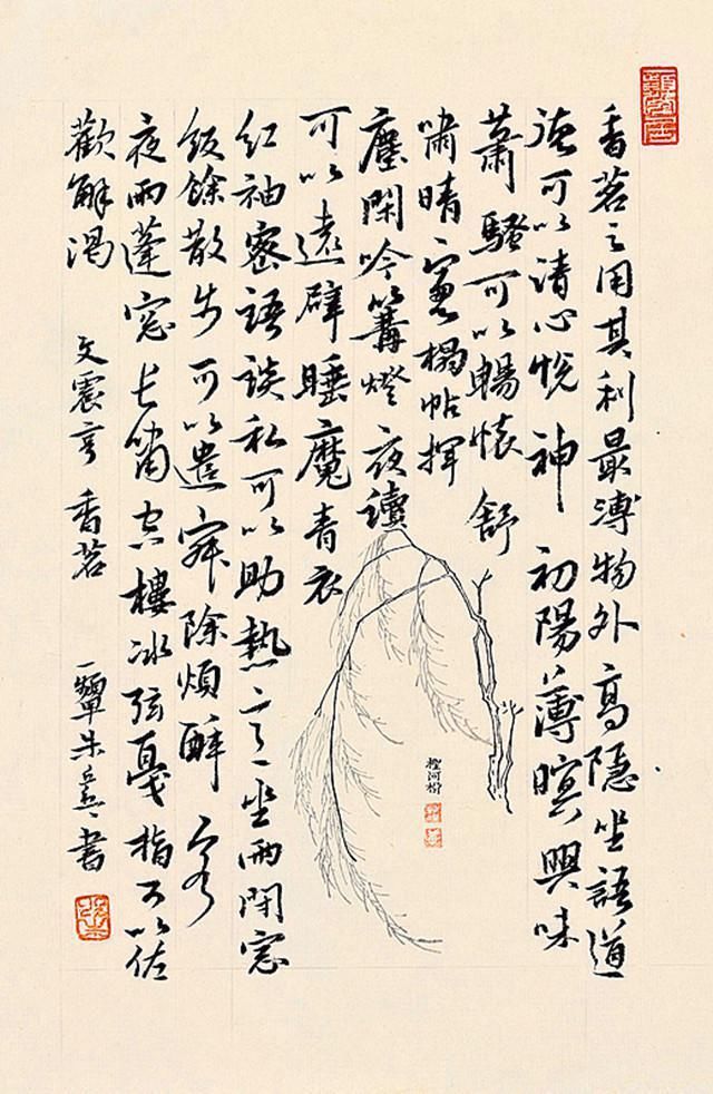 妇女|清纯女神朱乒乓书法不错,楷书大气行书洒脱,获妇女书展特等奖