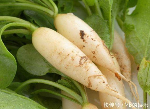  健康|“饿死不进萝卜园”有无依据专家说出大实话佩服古人智慧