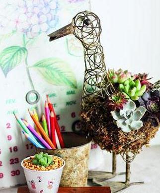 日常小瓶小罐做花器,搭配多肉也美得正好哟