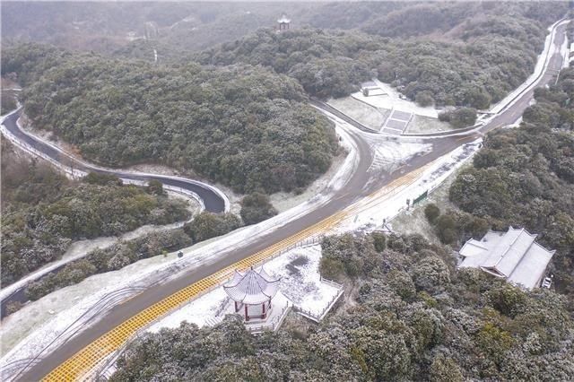 仙境|百里杜鹃，一下雪就美成仙境~