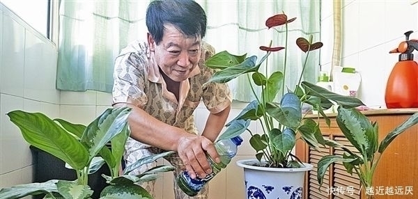 发酵|浇花还在用自来水?园艺师教你几个常用的小技巧,随便养都能爆盆