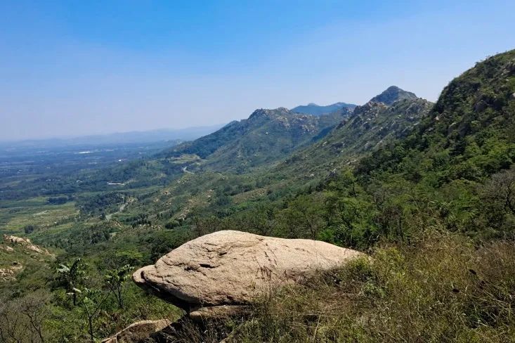 甜桃|山东电视台新闻频道播出—《宁阳：秋抚凤仙山波漾玉女湖》