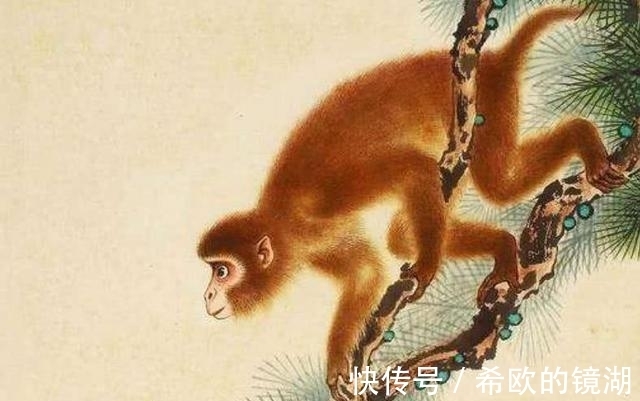 人际关系|这三大生肖2021年事业开花结果，财运步步高升，添丁添财