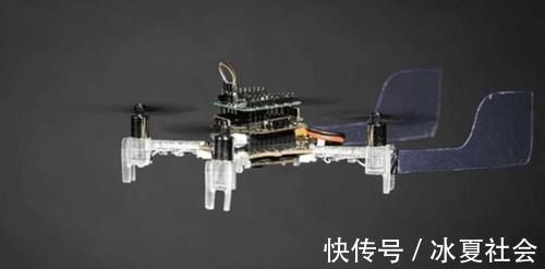 传感器|每造两台无人机，就有一只飞蛾失去触角：科学家用真蛾触角做传感器检测气味