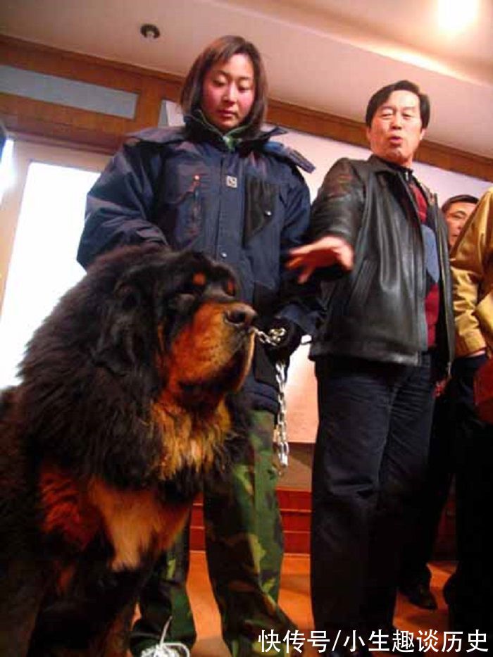 马家军|马家军教练马俊仁:跌下神坛后养狗赚千万,年过70重返俱乐部执教