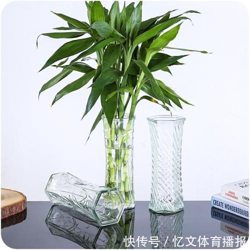 家里什么植物都可以不养,唯独这4种万万要种,难怪有钱人住富裕