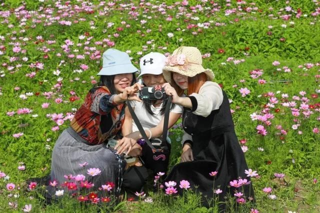 低薪|东莞“小蛮腰”刷屏朋友圈！牛年这些景点很“红”