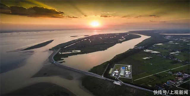 湿地|看，崇明来了只“小花狮”