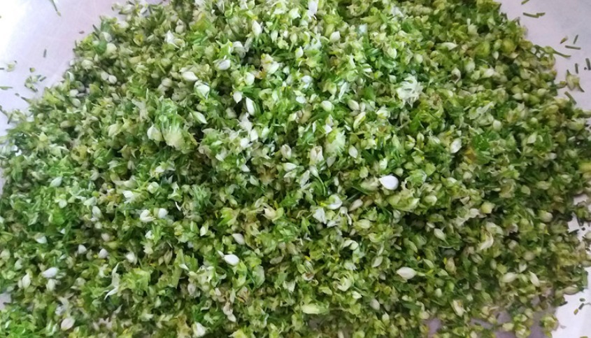 自制韭花酱，只放盐是外行，多加1样，口感好味道香，久放不会坏