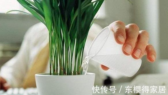 修剪|喜欢养花，先戒掉7个坏习惯，不然啥花也养不好，你占了几个？