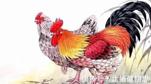 后脚|20天后，三大生肖日子舒心，运势火旺，收获财富，一生福气不浅