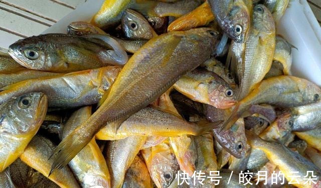 海产鱼|冬天吃鱼,会吃的人专挑这7种鱼,顺应时节营养高,贵点也值得!