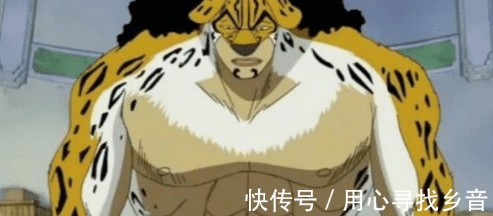 进化|海贼王中唯一一颗无限进化的果实,你以为是乔巴,其实是他