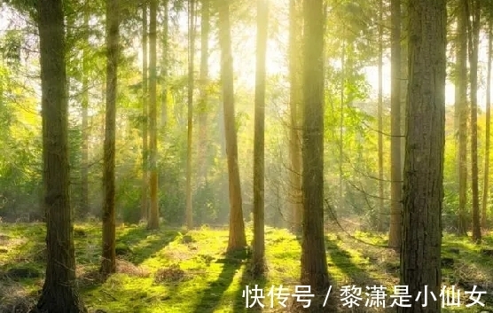 春雨&宋代诗僧的一首名作,技法高妙,短短四句话,却美不胜收