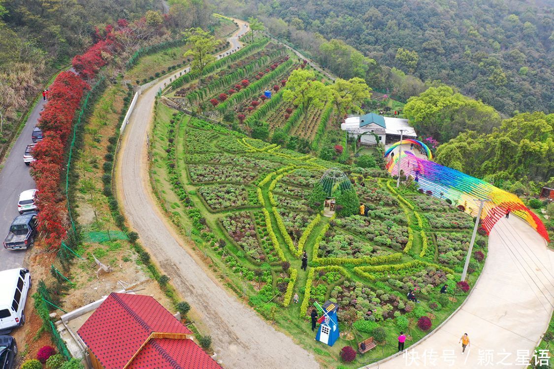 牡丹花、风车公路、烽火台、海港，美丽的风景线