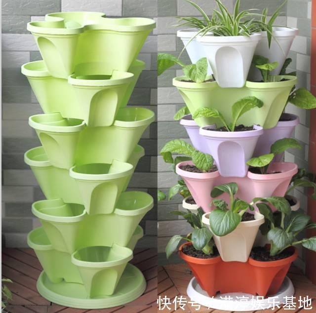 阳台还在晒衣服,拿来种菜可以吃上一整年,可香了!