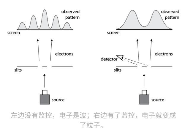 薛定谔的猫：诡异的量子力学