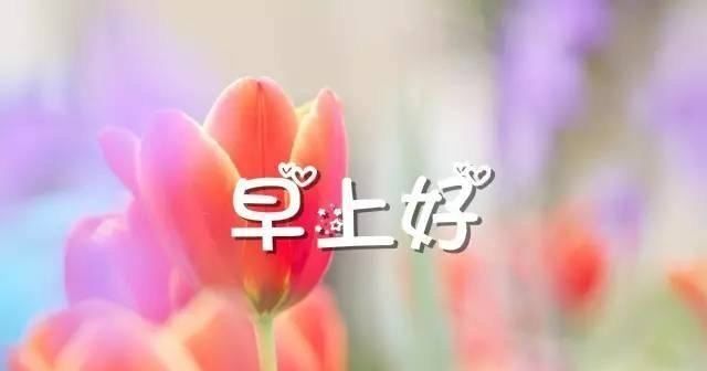 努力|早安心语：努力书写今天，让明天的怀念多一些亮色