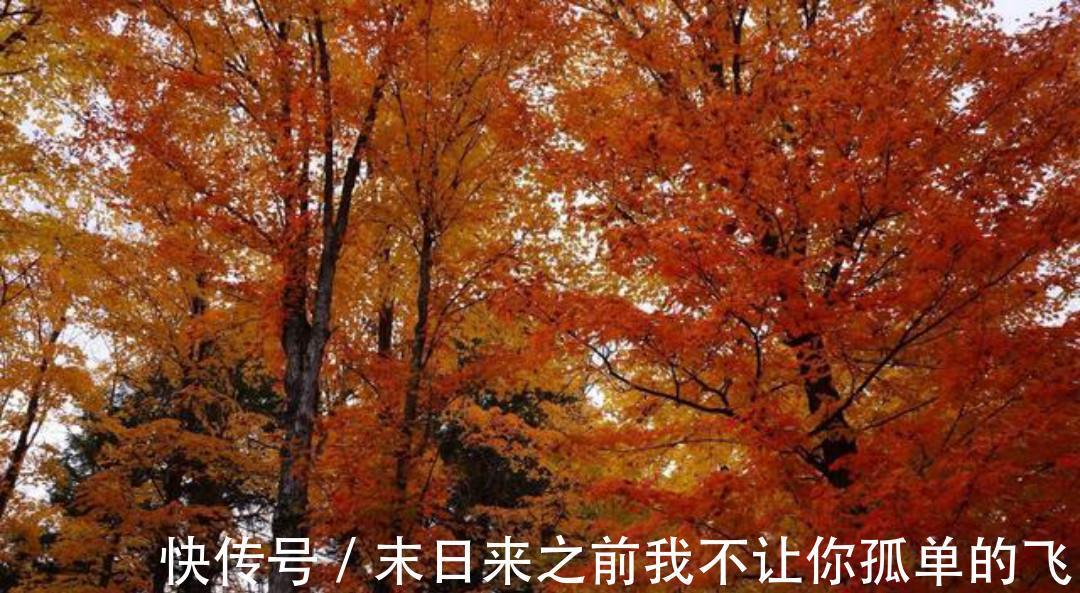 题玉泉溪!《全唐诗》里很深情的一首诗,从开篇到结尾句句深情,值得一读!