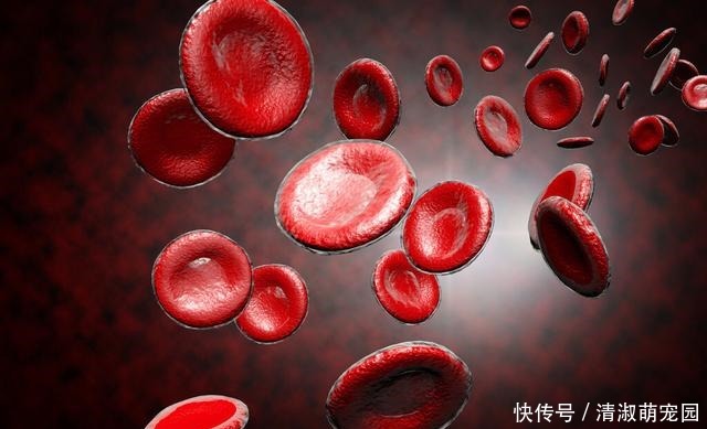 肢体|血脂过高,身体会有什么表现?发现后别拖延