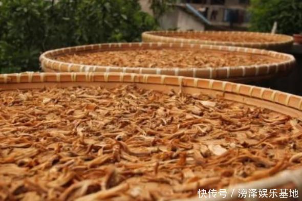 这5种菜晒一晒，味道比新鲜的还好，放到冬天吃，烧鸡烧肉特别香