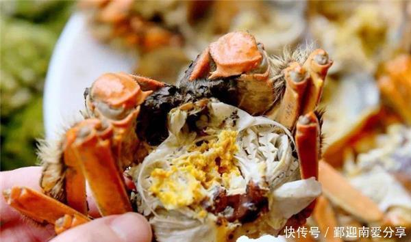挑选|如何挑选大闸蟹?资深养蟹人告诉你,看准“3点”,蟹黄又多又好