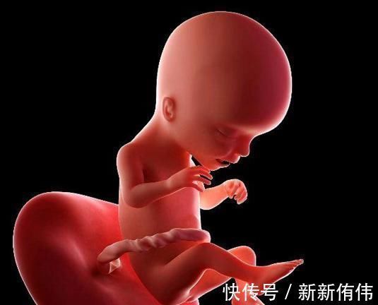 子宫|孕检B超四维时胎儿害羞不动,孕妈别着急,8个技巧让孩子活跃配合你