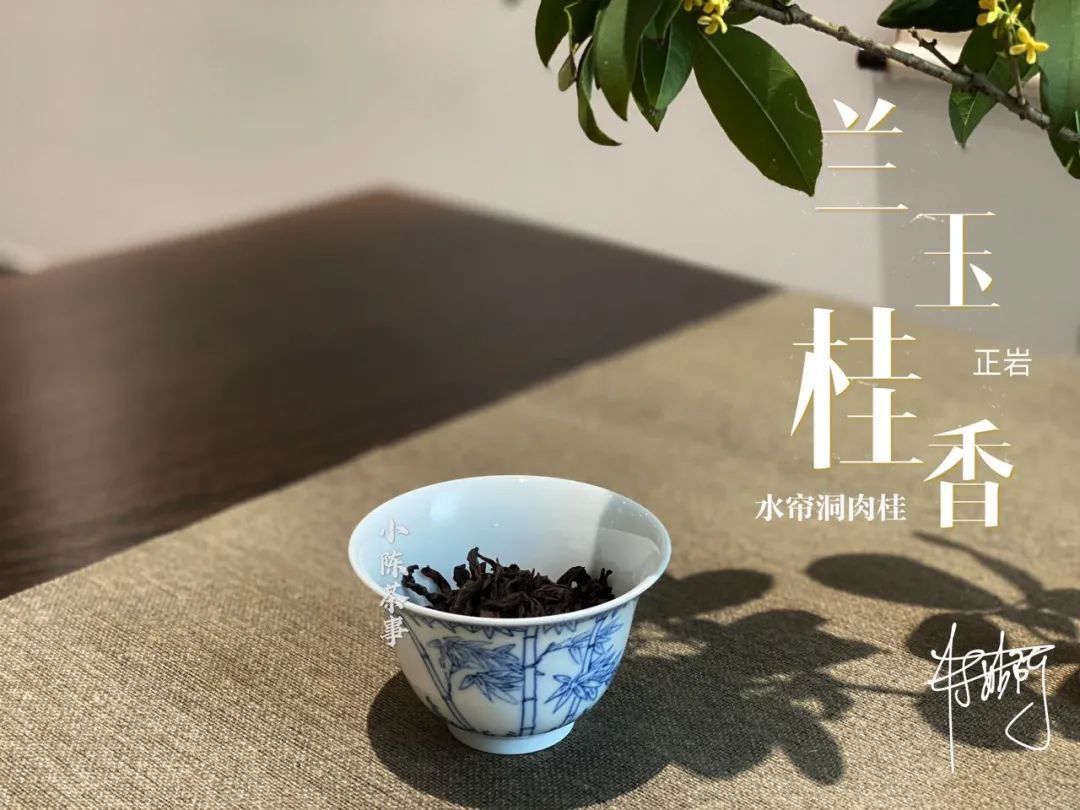 学术讨论|武夷岩茶还魂汤的学术讨论,专家不喝,茶客必留,这是为什么呢