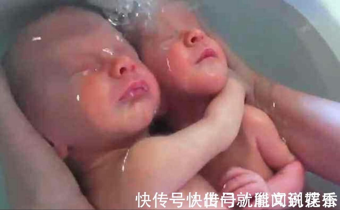 双胞胎|刚出生的双胞胎,被医生转身放进水里,俩宝宝反应太萌了