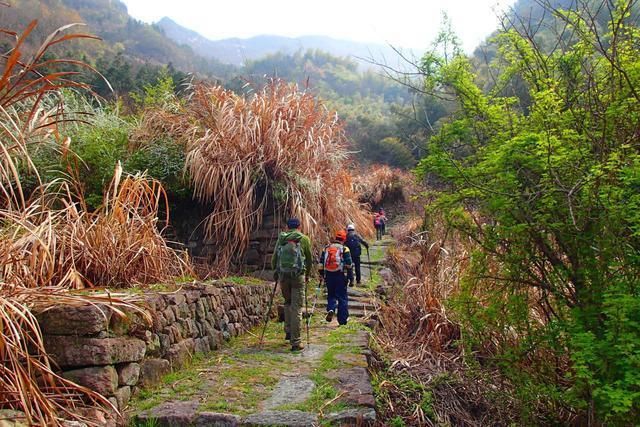 巨资|浙江又一古道走红，全长20公里，斥巨资打造，就在浦江