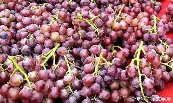 红葡萄酒|北大教授警告中老年人千万不要死于无知看看你做错多少