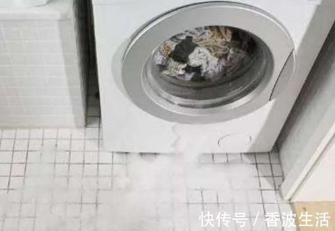 排水管|洗衣机排水管为什么不能直接插地漏?