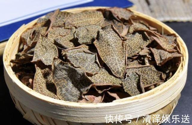 花友|在树下,1种植物“珍贵”,人称“金线兰”,殊不知1斤“450元”