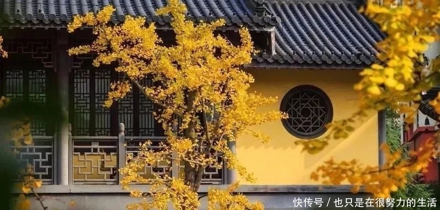 彭中文|庚子律诗近稿!