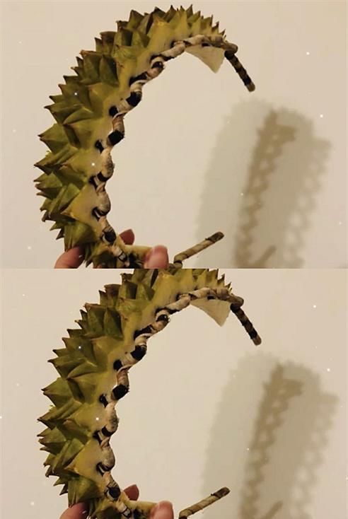 发箍|芒果做的发夹,火龙果做的发夹,看到榴莲发箍免费送吗