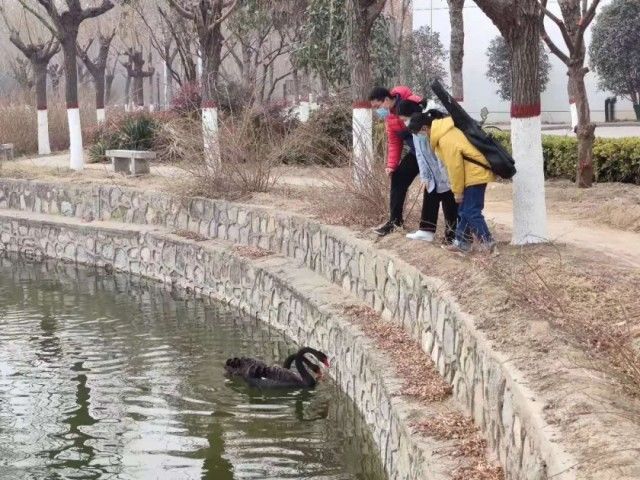 包场、开小灶、大礼包......我承认我慕了！