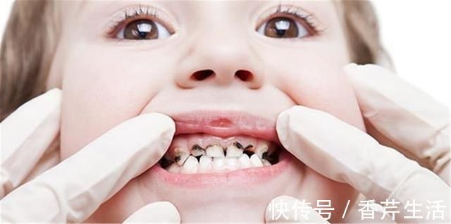 乳牙|捕到巨型石斑鱼,一条就顶人家一箩筐,渔民开心的一天