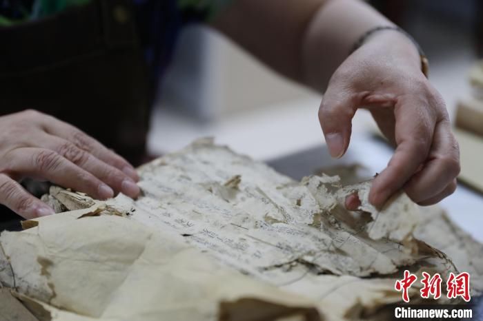 传承|传承！宁夏女“郎中”坚持40年为古籍“续命”