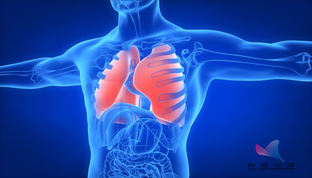 体检|体检查出“肺结节”怎么办?如果有这些特征,很可能是肺癌…