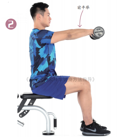 肌群|干货!要想练就完美的“倒三角”身材,决不能忽视肩部训练!