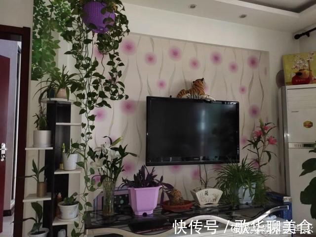 夏天养花,这个地方千万别摆,否则3天死翘翘